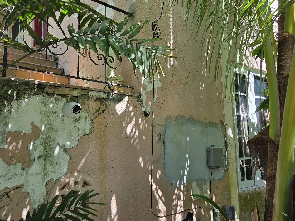 Peeling paint, exposed masonry and mildew on the shaded garden wall