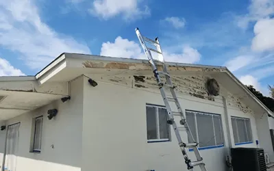 How Long Does Exterior Paint Last in Florida?