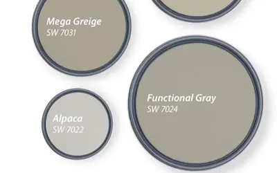 Embracing the New Trend of Greige.